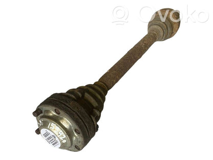 Aizmugurējā pusass