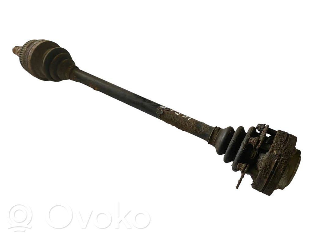 Aizmugurējā pusass