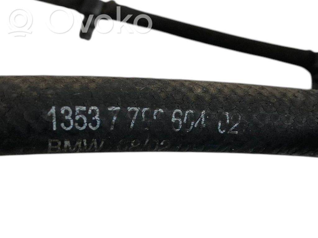 Caurule (-es) / šļūtene (-es)