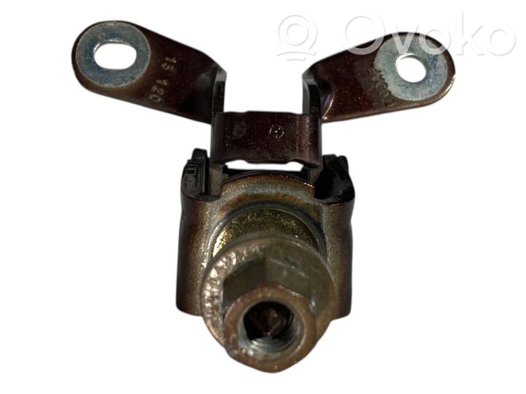 Aizmugurējā pārsega eņģe (-ess)