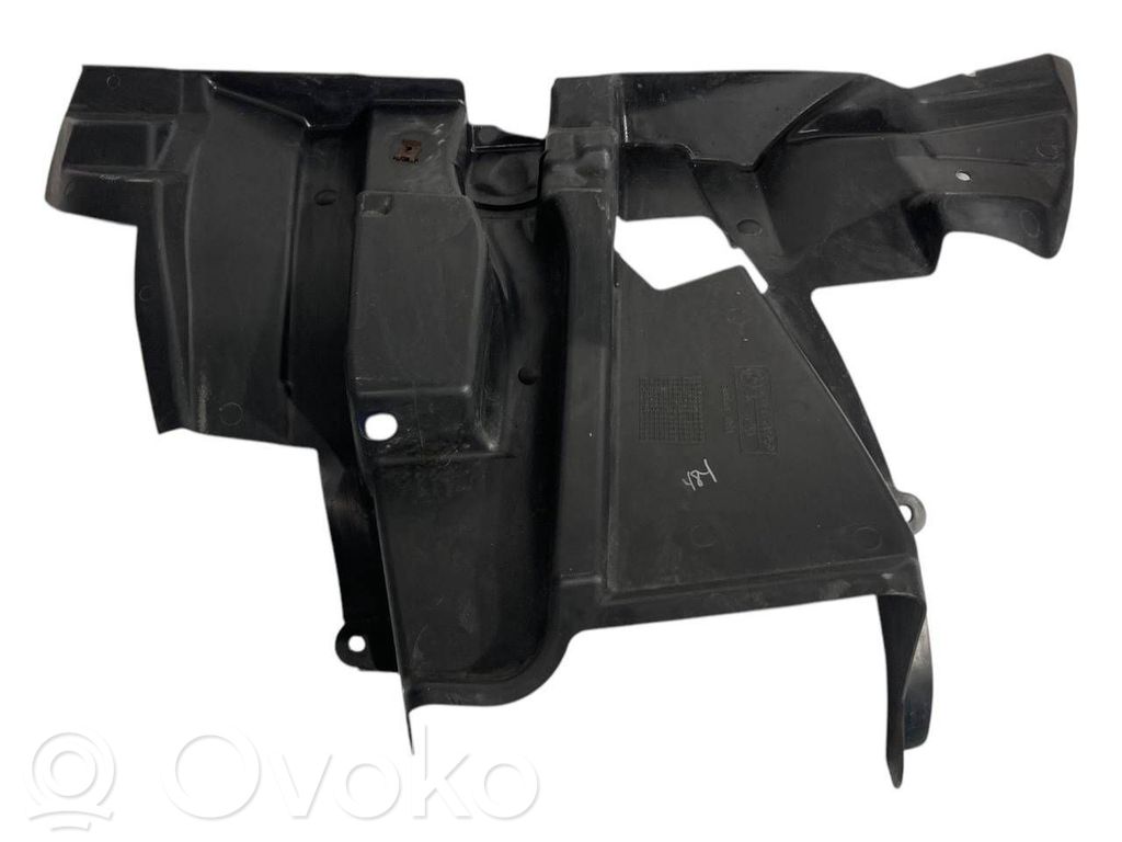 Under engine guard (front)