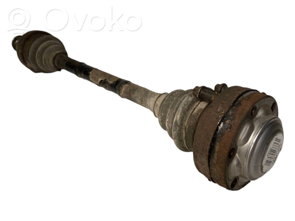 Aizmugurējā pusass