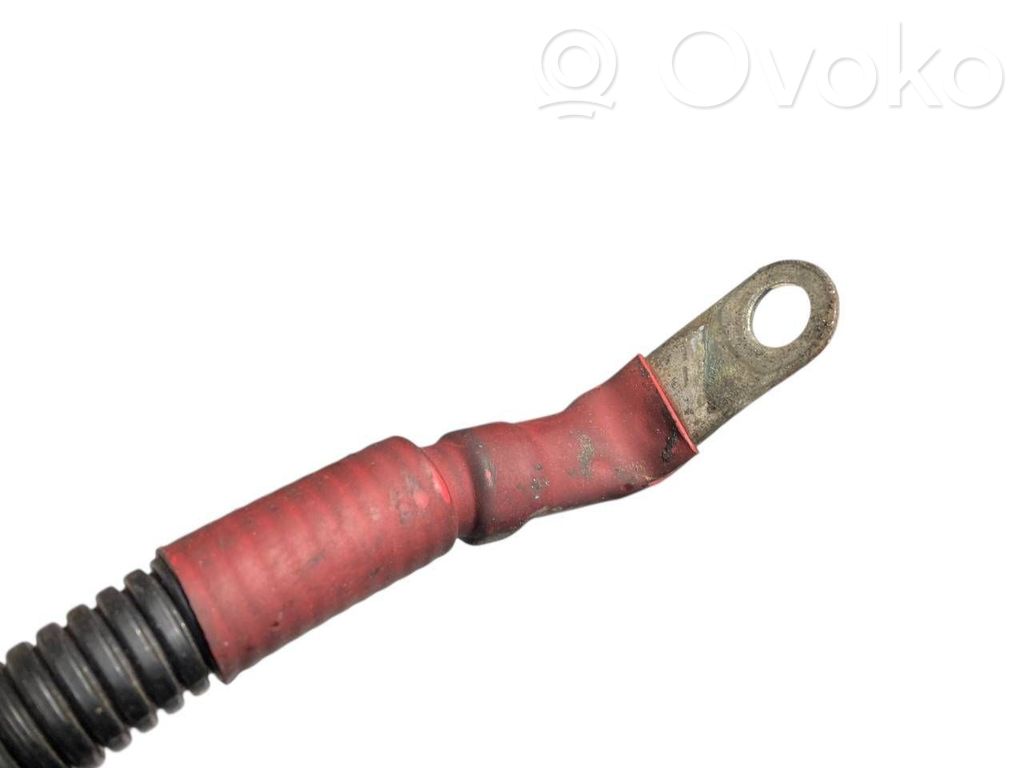 Plusa vads (akumulatora)
