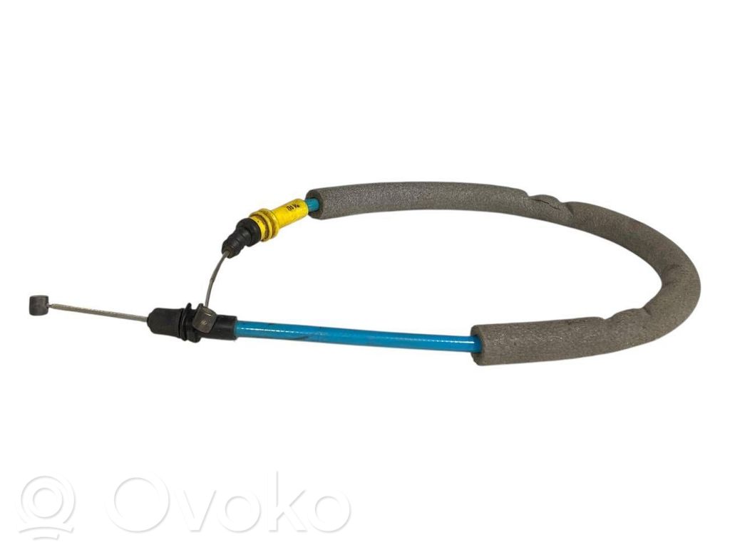 Trosīte