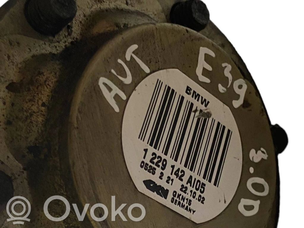 Aizmugurējā pusass