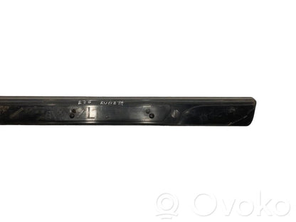 Front sill trim (inner)