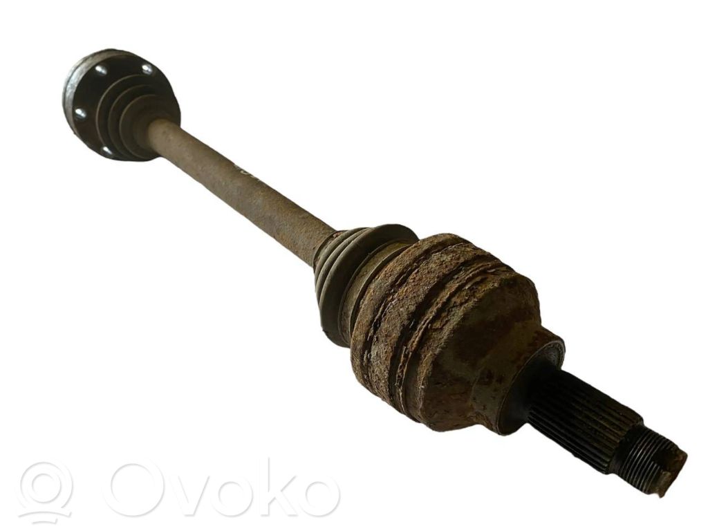 Aizmugurējā pusass