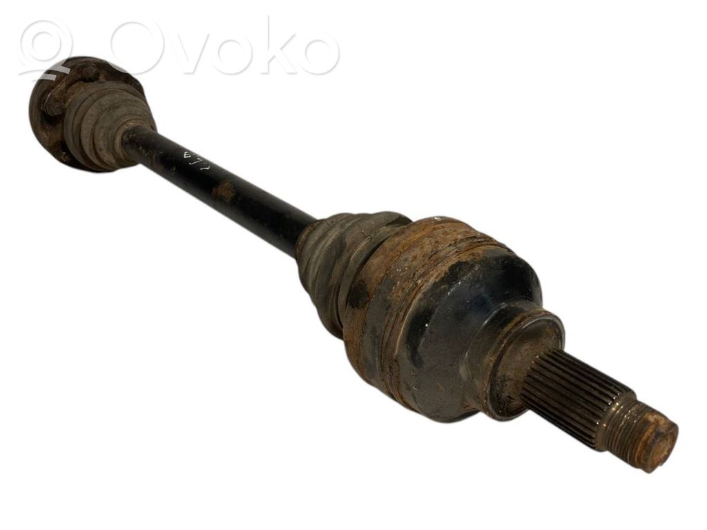 Aizmugurējā pusass