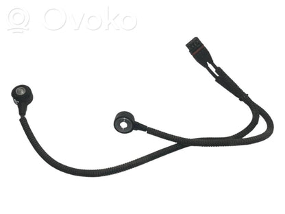 Knock sensor