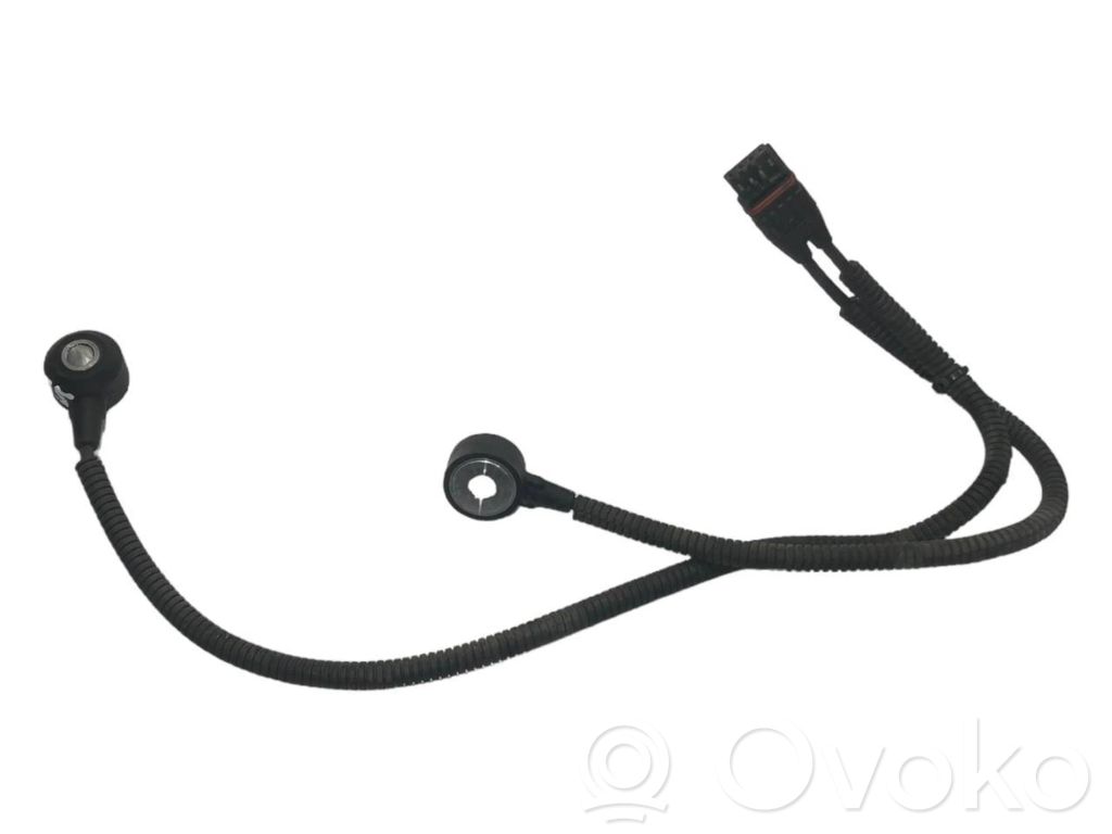 Detonācijas sensors