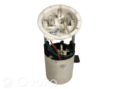 Fuel pump (in the fuel tank)