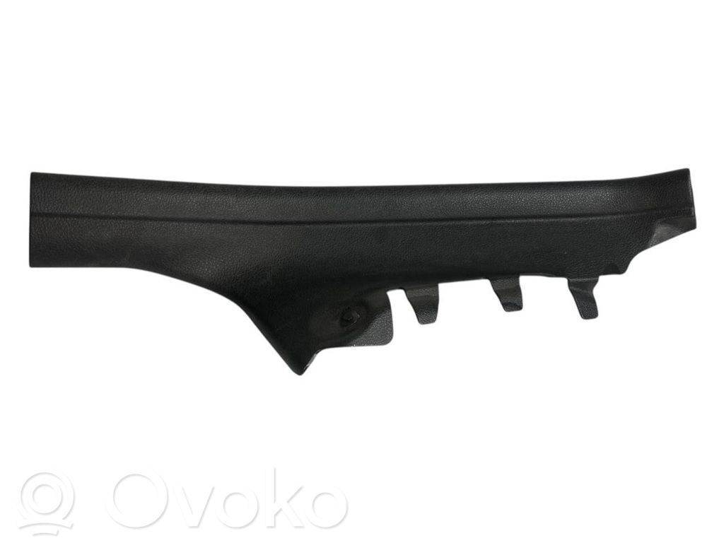 Rear door sill trim (inner)
