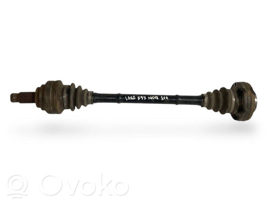 Aizmugurējā pusass