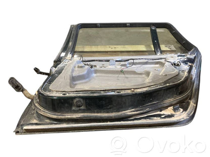 Aizmugurējās durvis