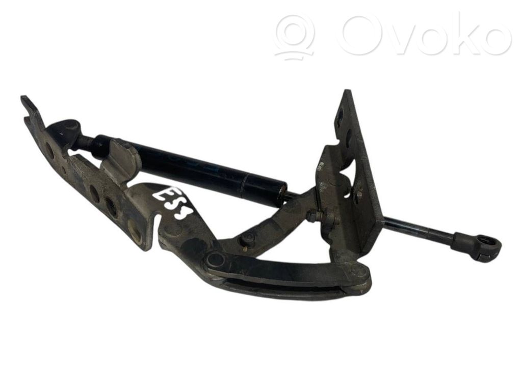 Dzinēja pārsega eņģe (-es)