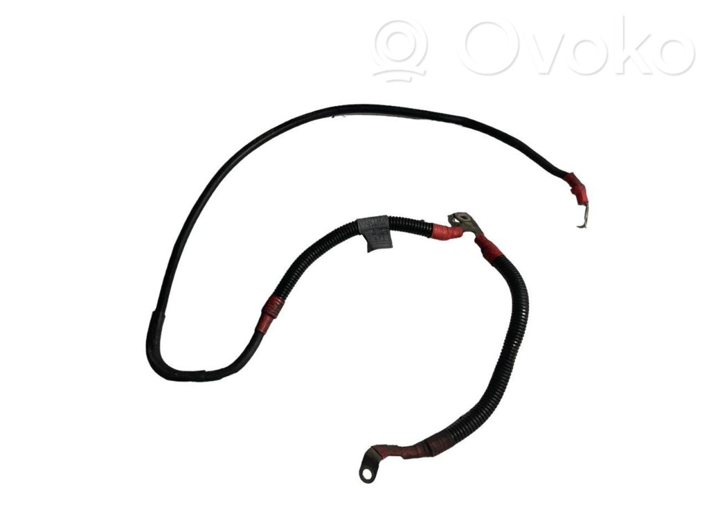 Plusa vads (akumulatora)