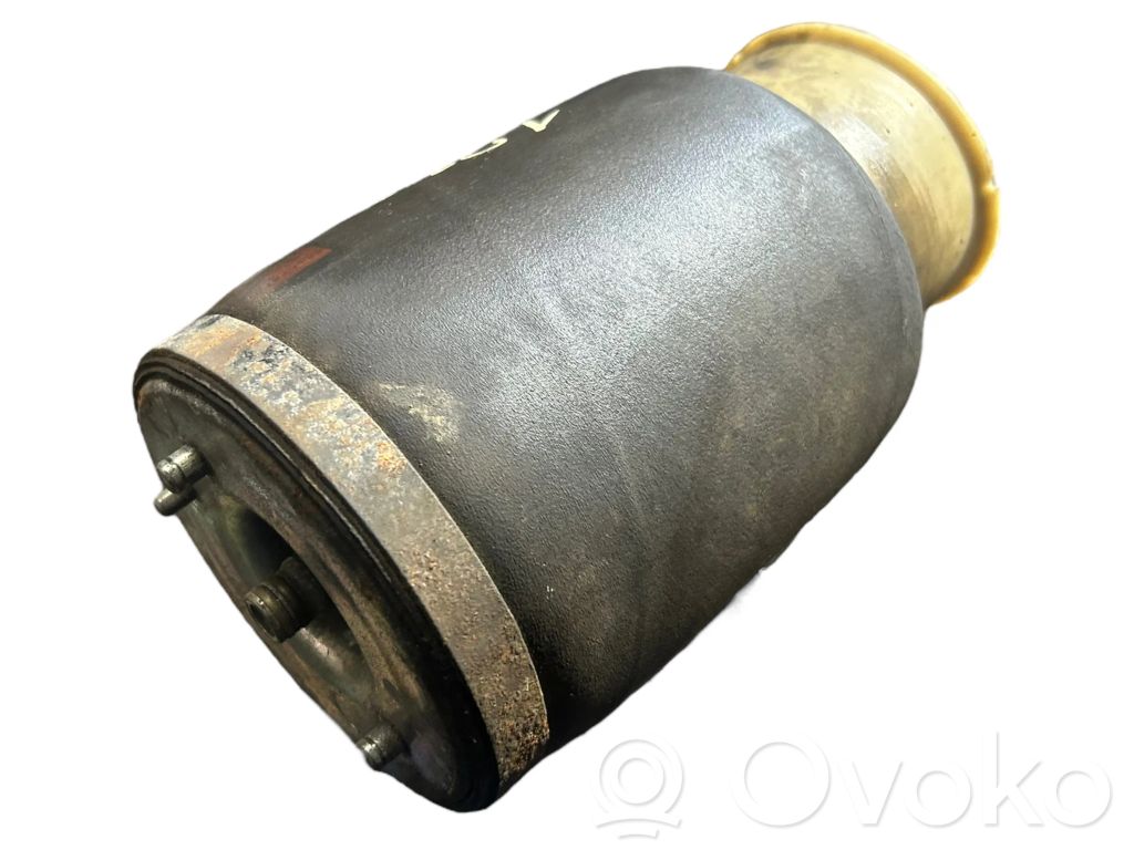 Задняя подушка безопасности