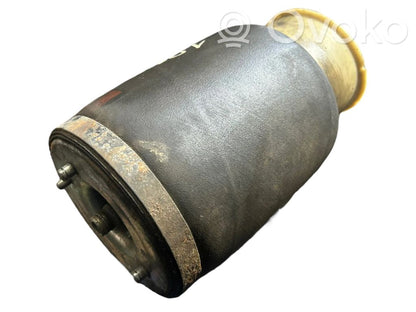 Aizmugurē gaisa spilvens