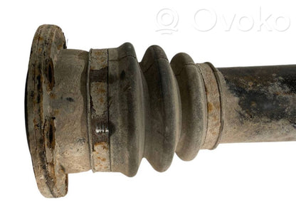 Aizmugurējā pusass