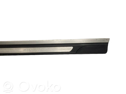 Front sill trim (inner)