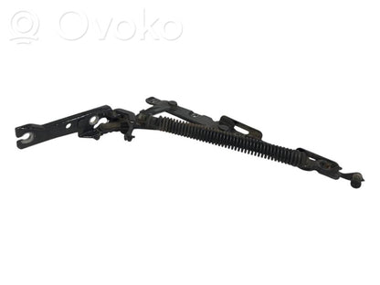 Aizmugurējā pārsega eņģe (-ess)