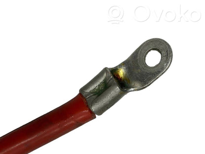 Plusa vads (akumulatora)