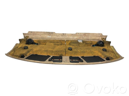 Aizmugurējā palodze