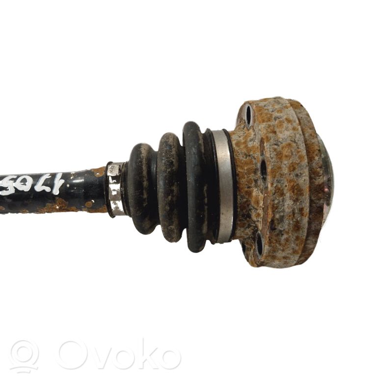 Aizmugurējā pusass