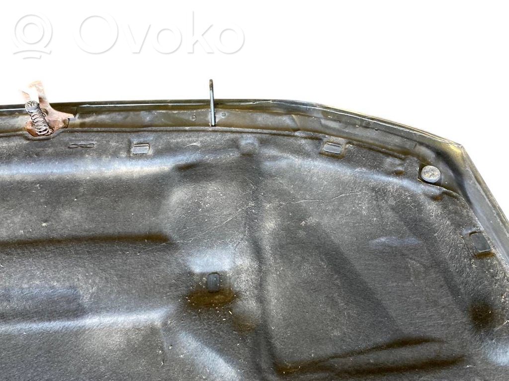 Dzinēja pārsegs (vāks)