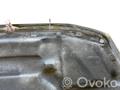 Dzinēja pārsegs (vāks)