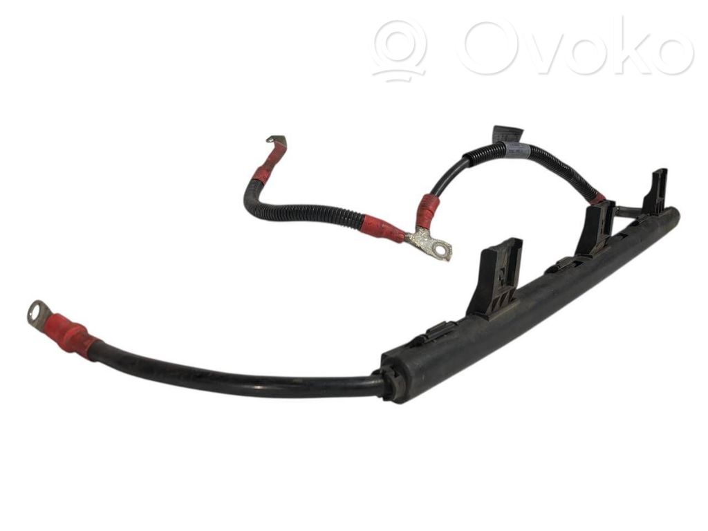 Plusa vads (akumulatora)