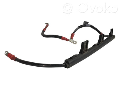 Plusa vads (akumulatora)