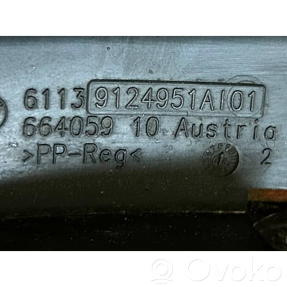 Plusa vads (akumulatora)