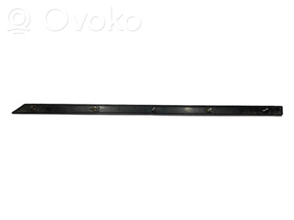 Aizmugurē durvju dekoratīvā apdare (moldings)