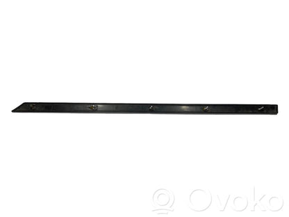 Aizmugurē durvju dekoratīvā apdare (moldings)