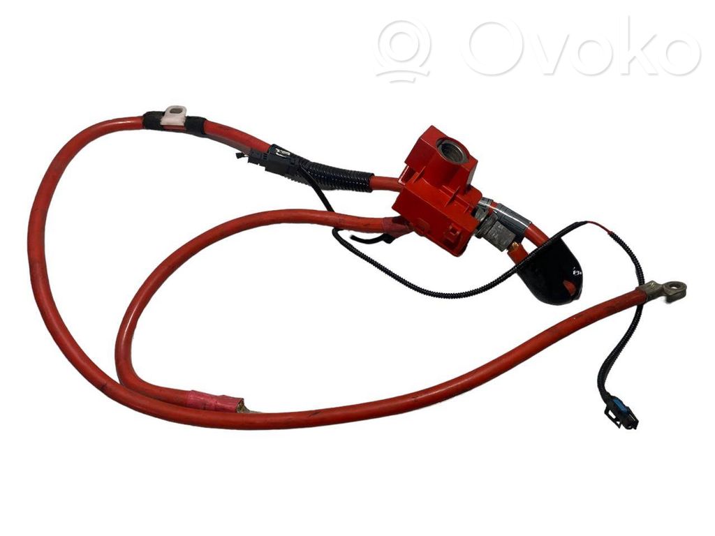 Plusa vads (akumulatora)