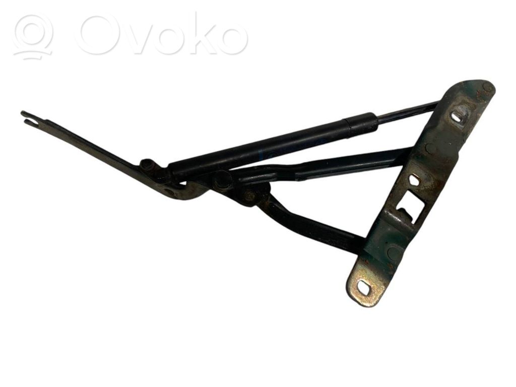 Aizmugurējā pārsega eņģe (-ess)