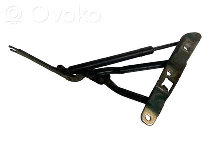 Aizmugurējā pārsega eņģe (-ess)