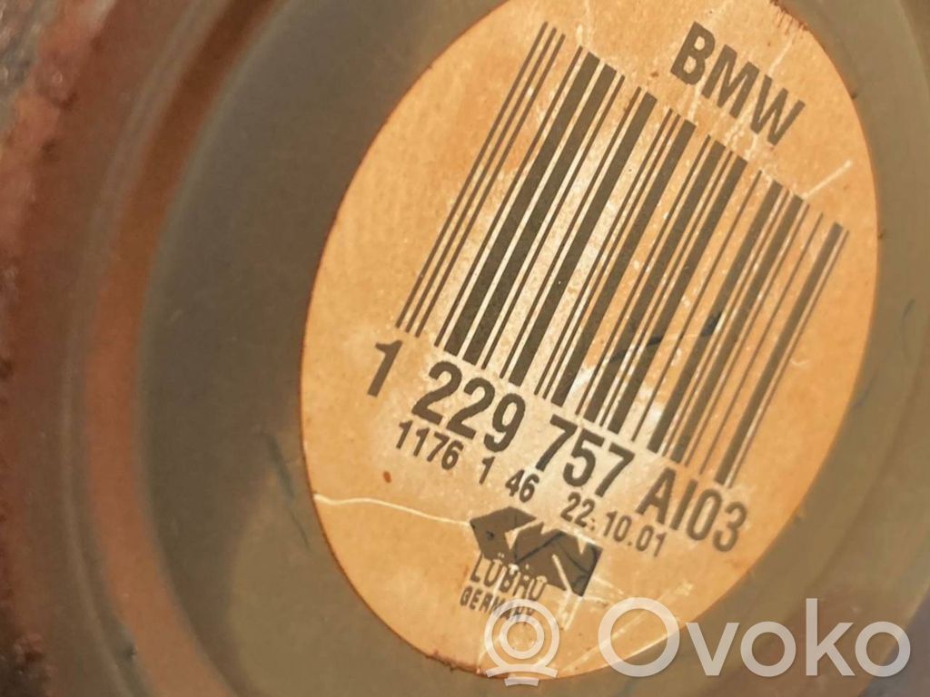 Aizmugurējā pusass