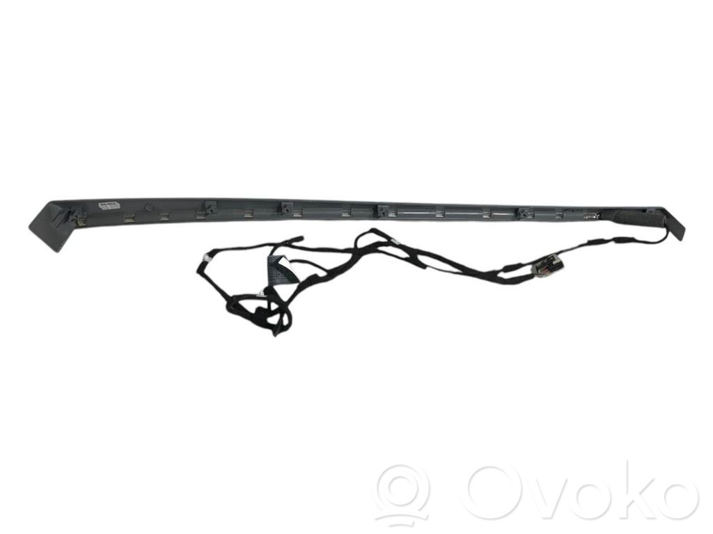 Cita veida aizmugurē durvju dekoratīvās apdares detaļas