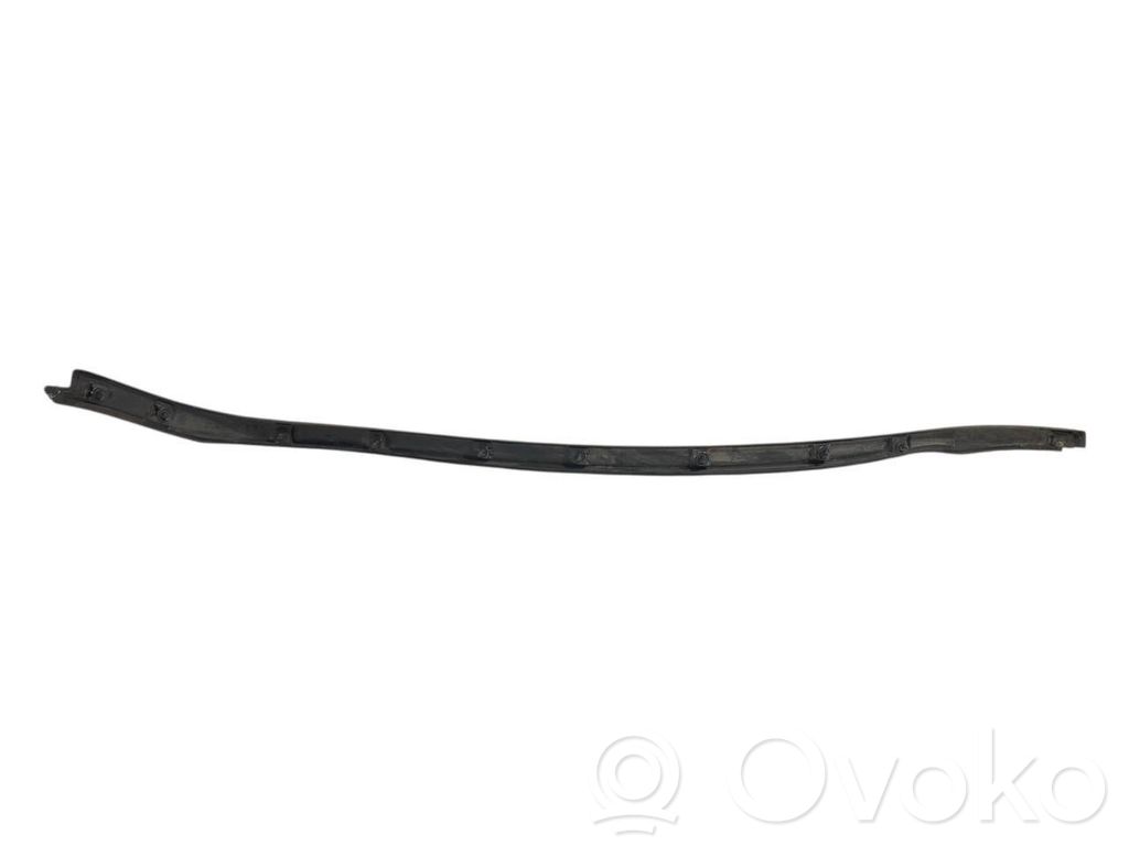 Aizmugurē durvju dekoratīvā apdare (moldings)
