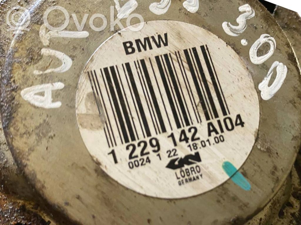 Aizmugurējā pusass