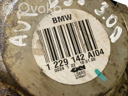 Aizmugurējā pusass