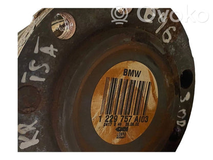 Aizmugurējā pusass