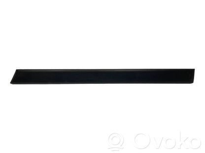 Aizmugurē durvju dekoratīvā apdare (moldings)