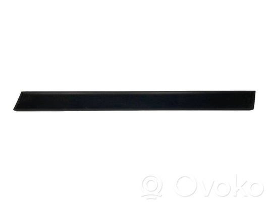 Rear door decorative trim (moulding)