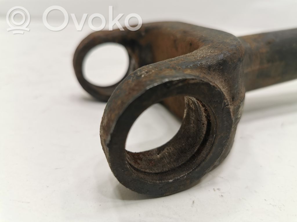 Aizmugurējā pusass