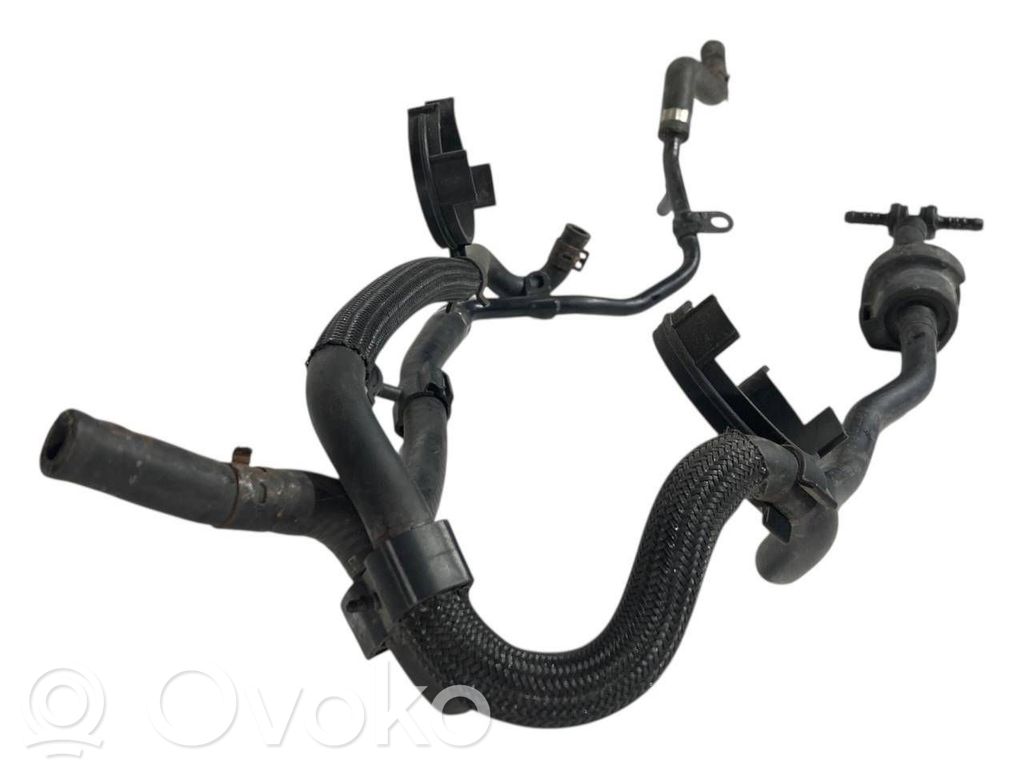 Caurulīte (-es) / šļūtene (-es)