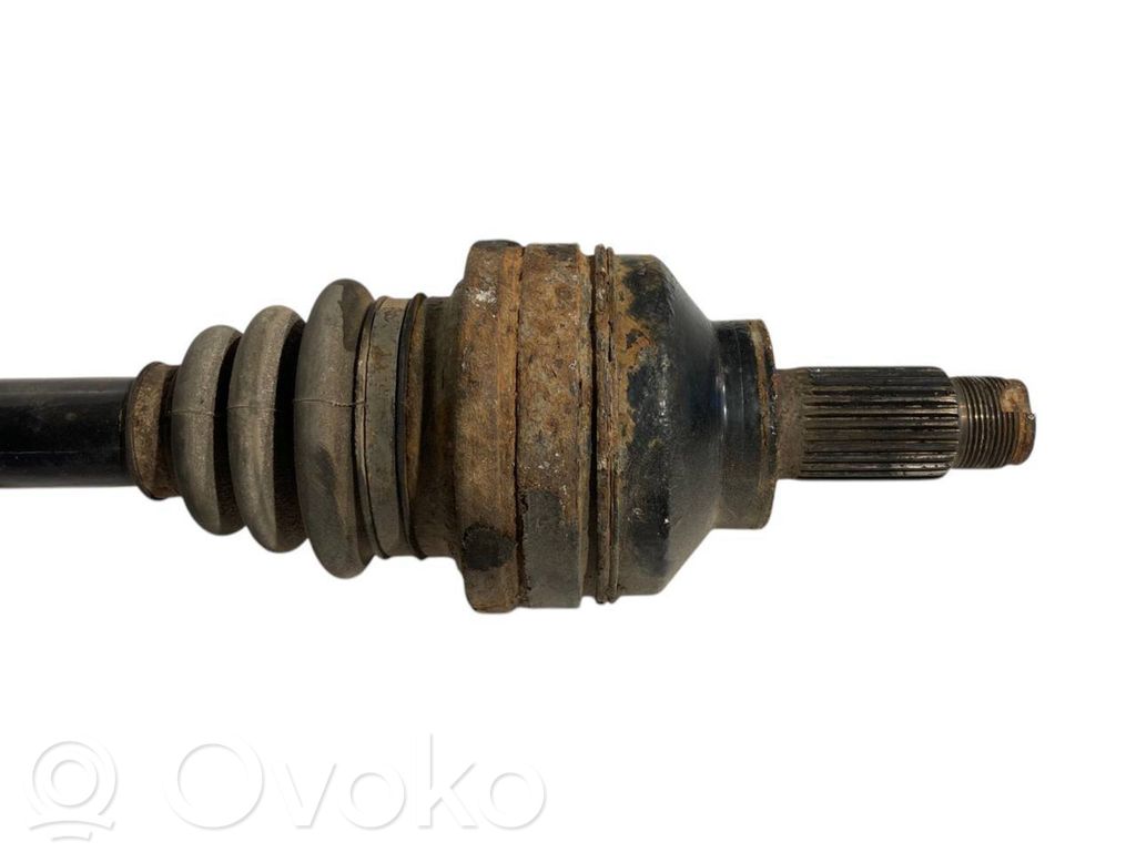 Aizmugurējā pusass