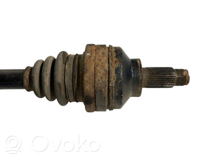 Aizmugurējā pusass